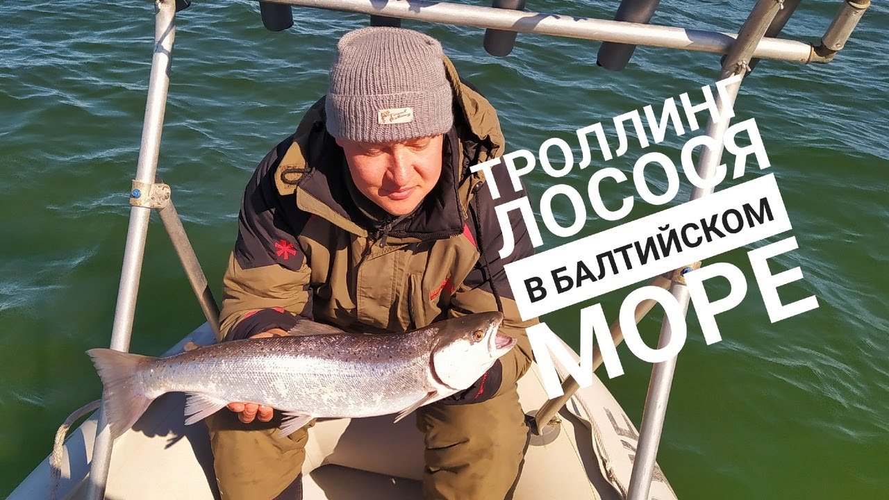 Троллинг лосося в Балтийском море. Ловля Балтийского лосося. Рыбалка в Калининграде. Сёмга. Лосось.