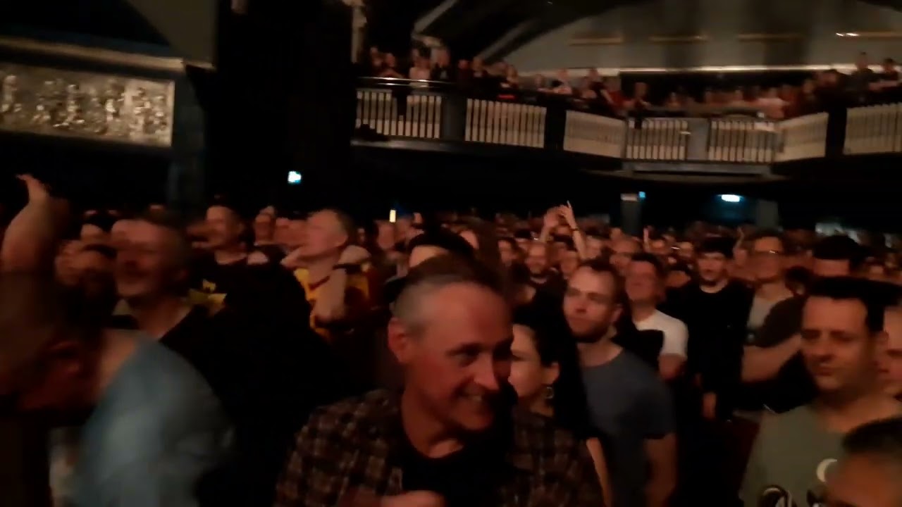 Half Man Half Biscuit, 