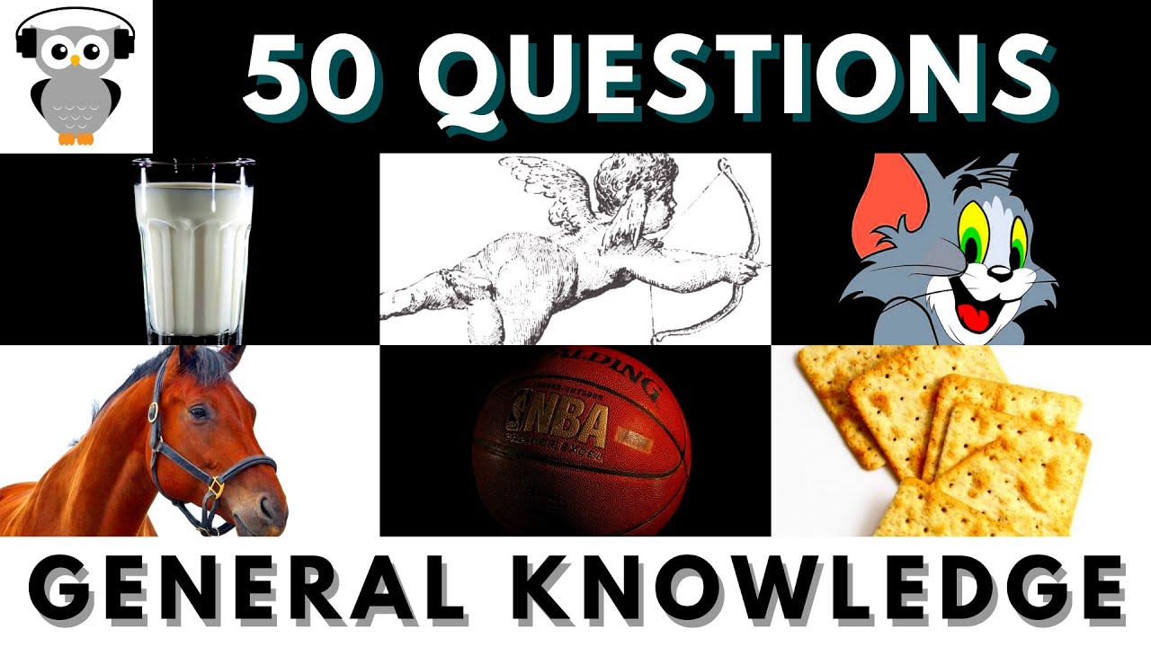 General Knowledge Quiz Trivia #42 | Milk, Cupid Arrow, Tom & Jerry, Male Horse, Basketball, Crackers