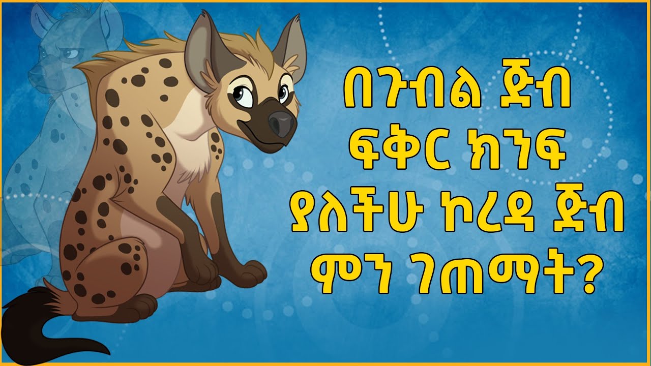 Ethiopia: በጉብል ጅብ ፍቅር ክንፍ ያለችሁ ኮረዳ ጅብ ምን ገጠማት? | EBS | Donkey |