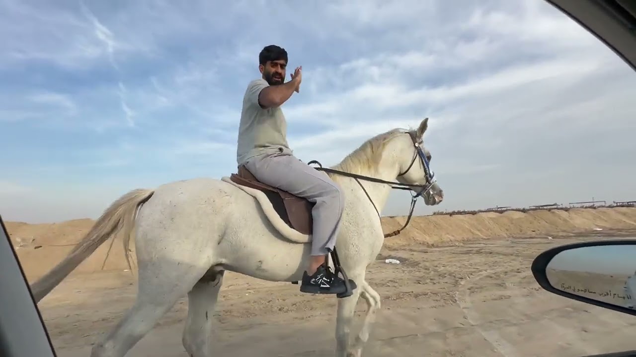 الكانتر ( الهذب ) خطوات بسيطة وبتشوف الفرق في ركوبك للخيل 😍🐎 النصري