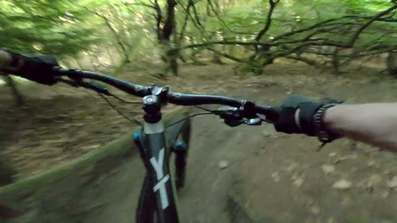 Shredlands...