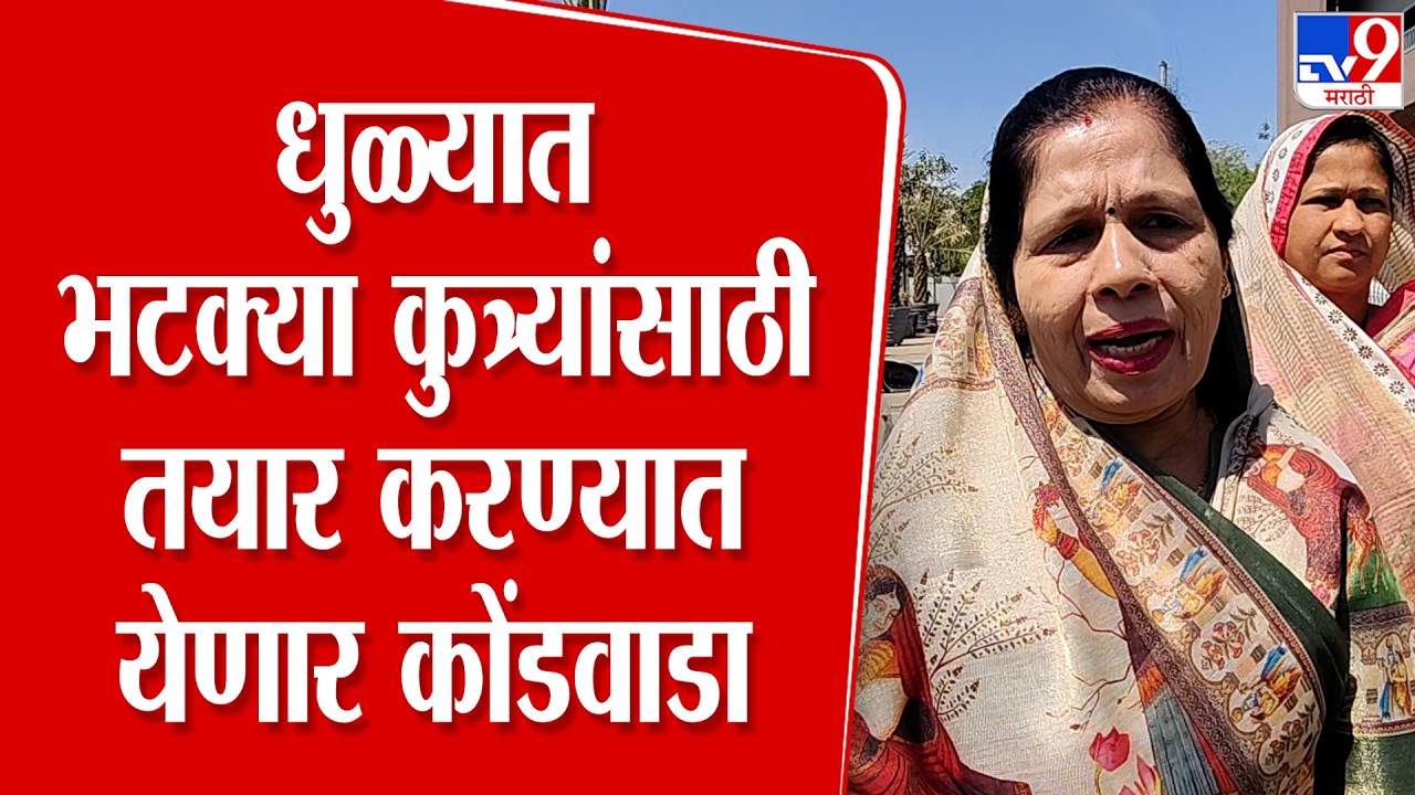 Dhule | धुळ्यात भटक्या कुत्र्यांसाठी तयार करण्यात येणार कोंडवाडा