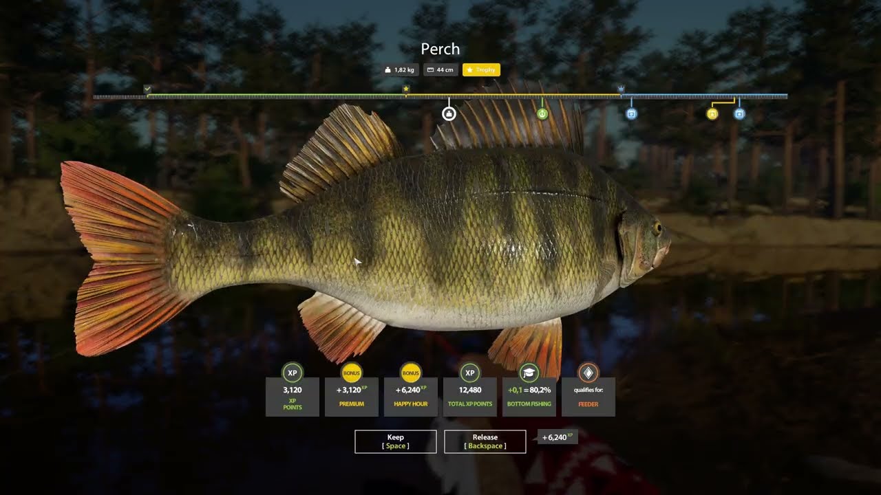 RF4 – Trophy Perch on a Winding Rivulet