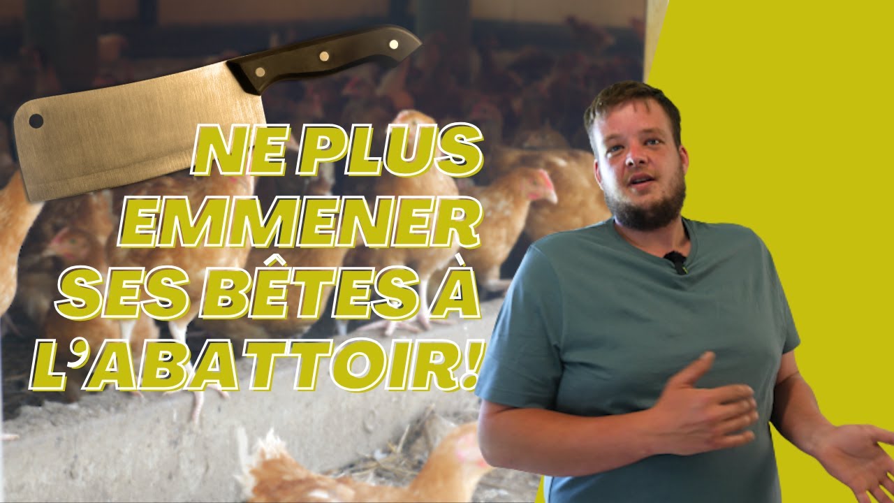 Abattre à la ferme?