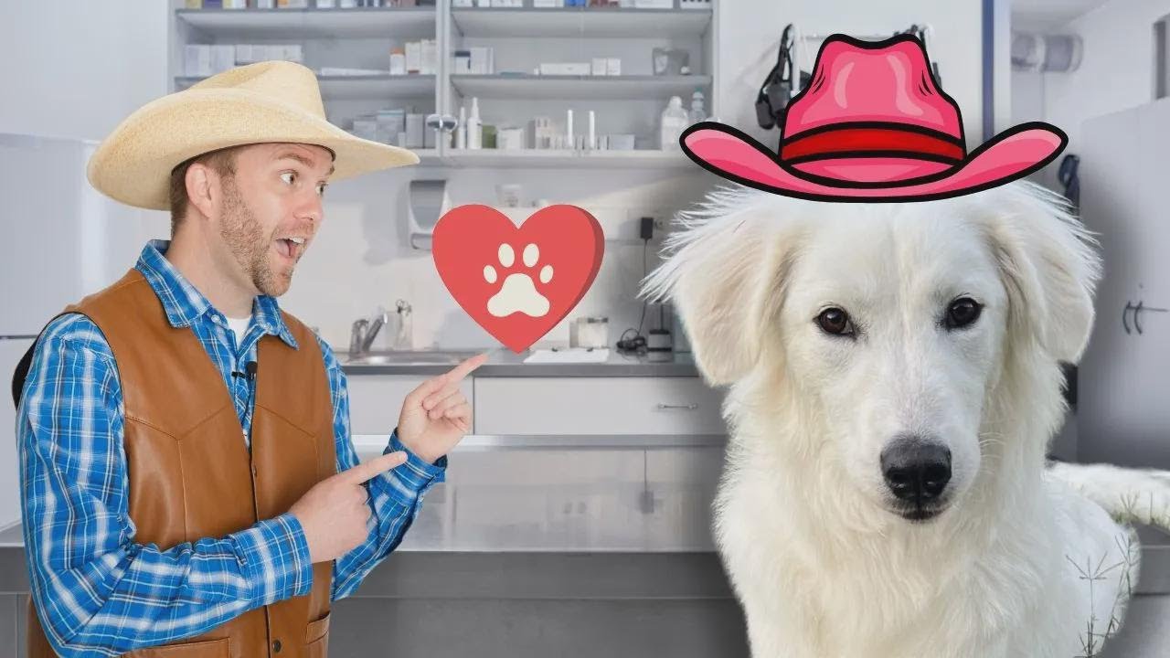 Cowboy Jack no Veterinário 🐾 Aprendendo Sobre Animais e Cuidados com Pets para Crianças