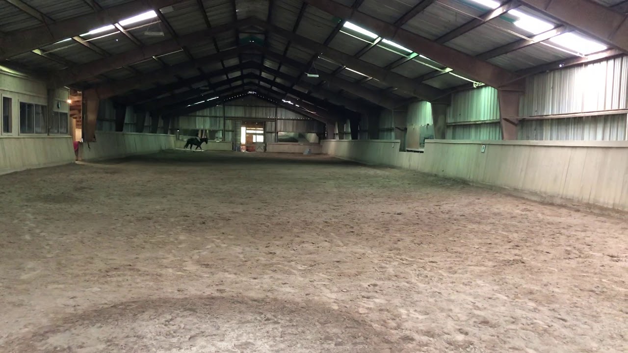 Shira Rosenthal Trg 3 &ldquo;Go Grande&rdquo;