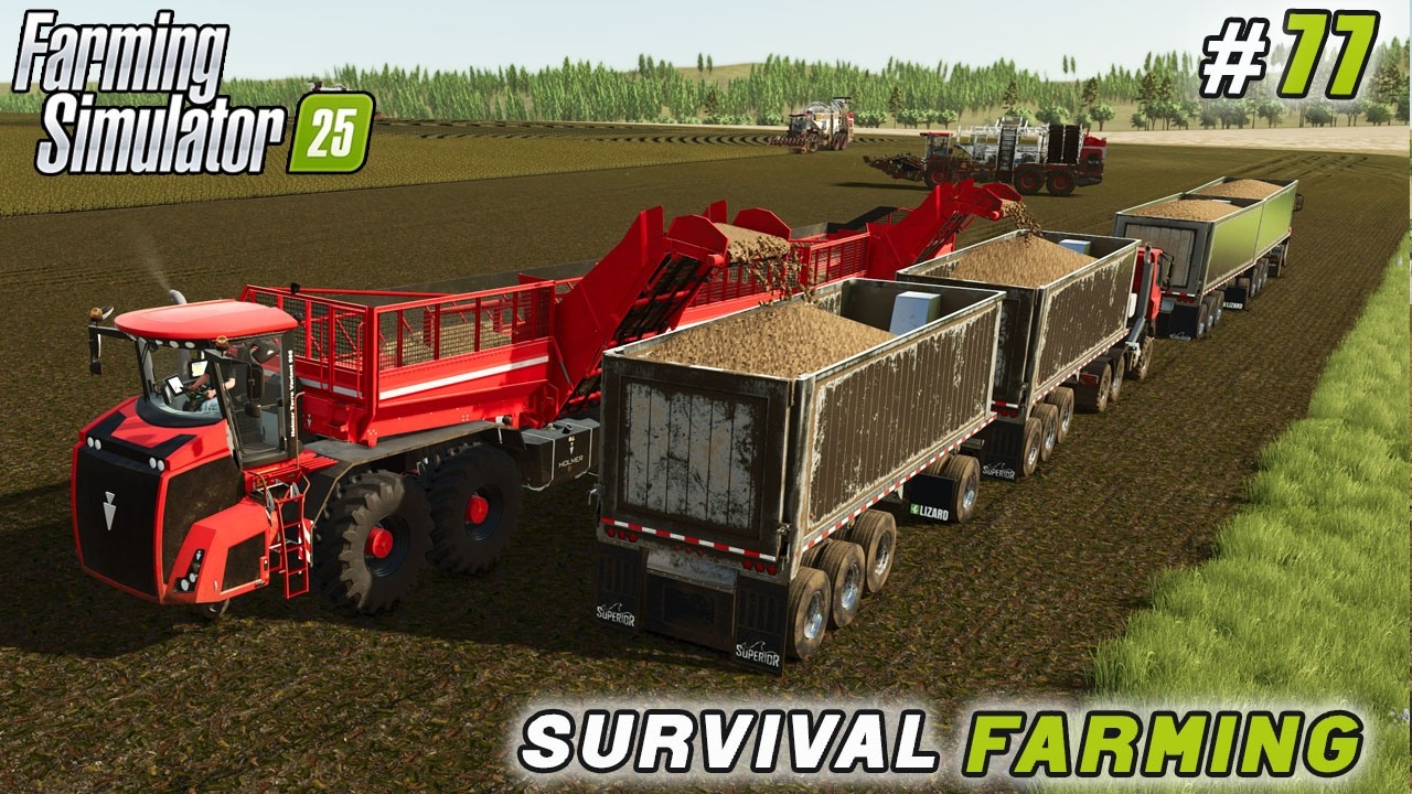 Сбор картофеля, новый завод и расширение виноградника | Farming Simulator 25 | Survival Farming |...
