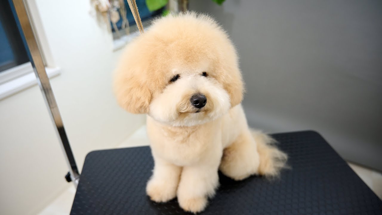 Мои глаза не такие маленькие.