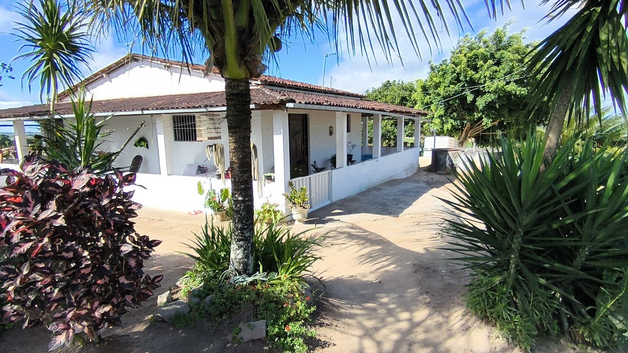 VENDE-SE CHÁCARA COM 2 CASA COM CISTERNA ALPENDRE UMA HECTARES DE TERRA  TODA PLANA (83)9-99540989