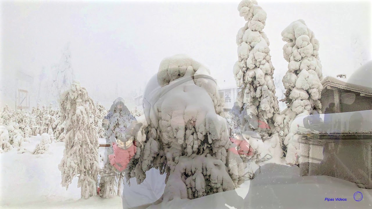 2019 - 02 - Finnland, Motorschlitten-Safari