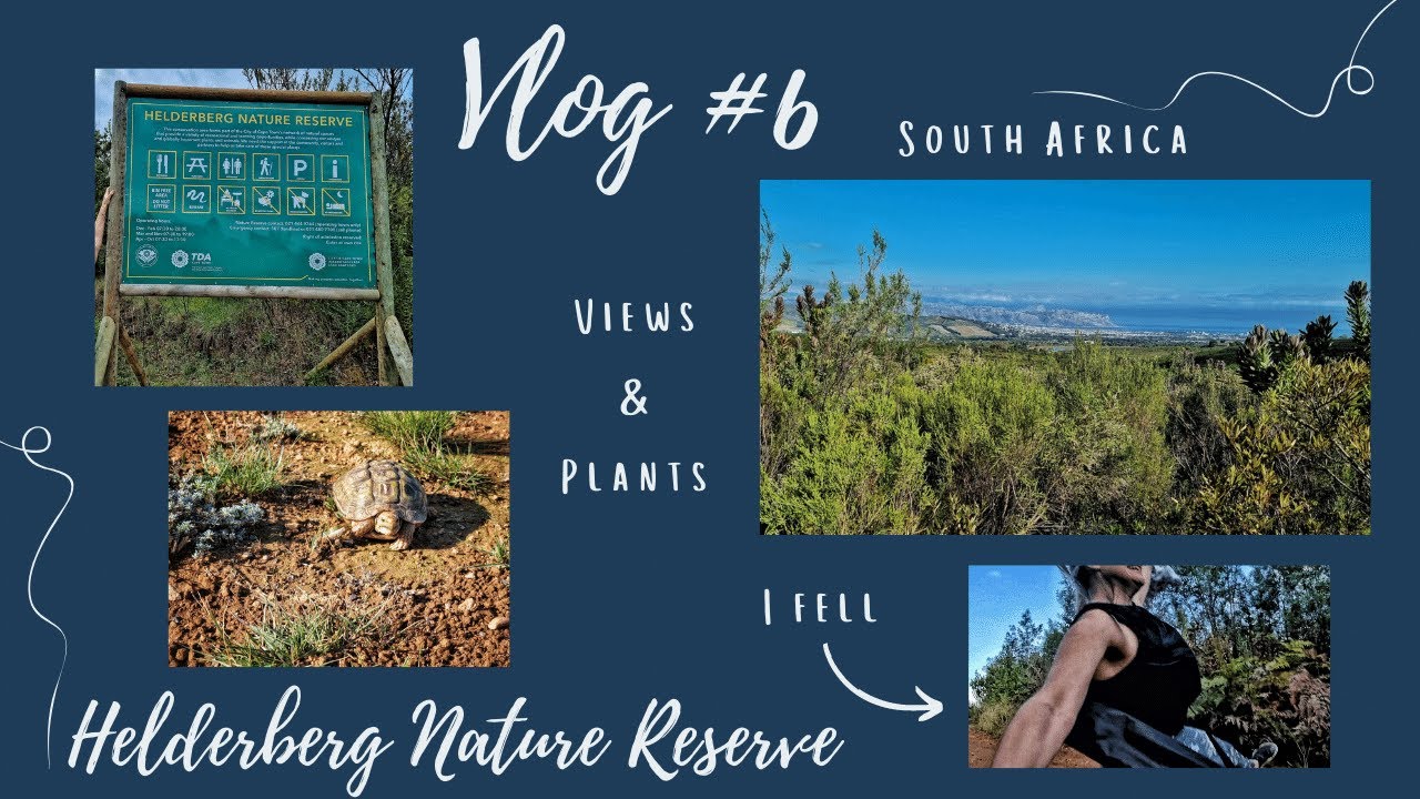 Vlog 6: Walk through HELDERBERG Nature Reserve | Views, plants, a tortoise or two & a fall.