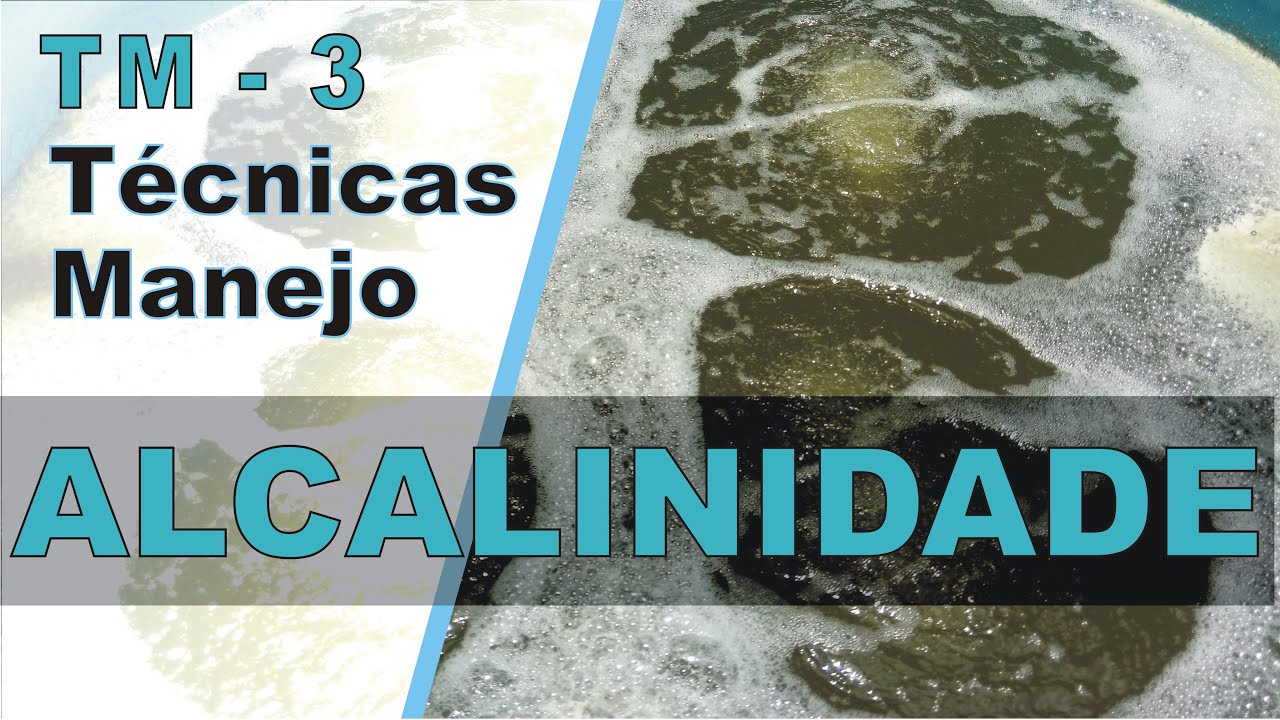 TM - 3 - TÉCNICAS MANEJO - BIOFLOCOS ALCALINIDADE...