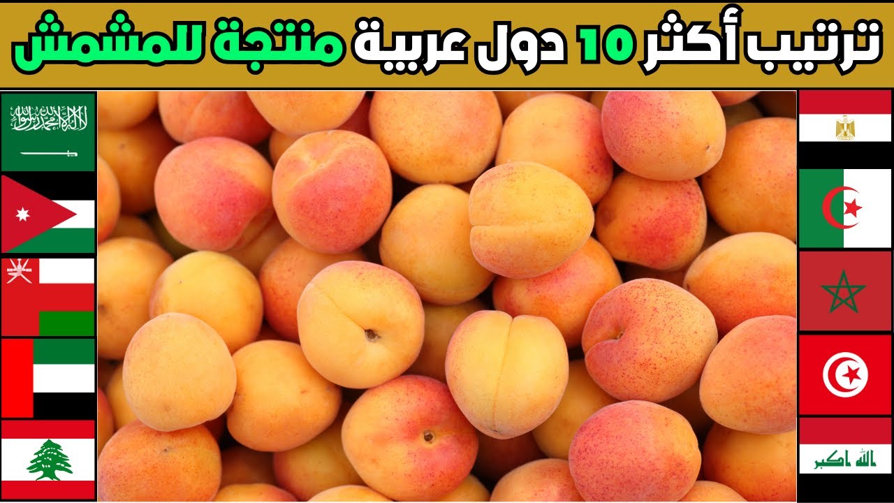 من هي أكثر دولة في زراعة و انتاج المشمش في العالم؟ ترتيب لأكبر 10 محاصيل مشمش في الوطن العربي 2025