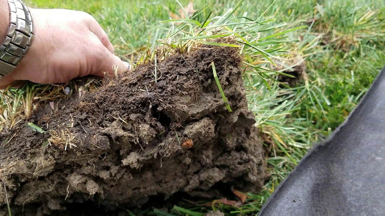 Biggest Mistake Made to Cause French Drain Failure