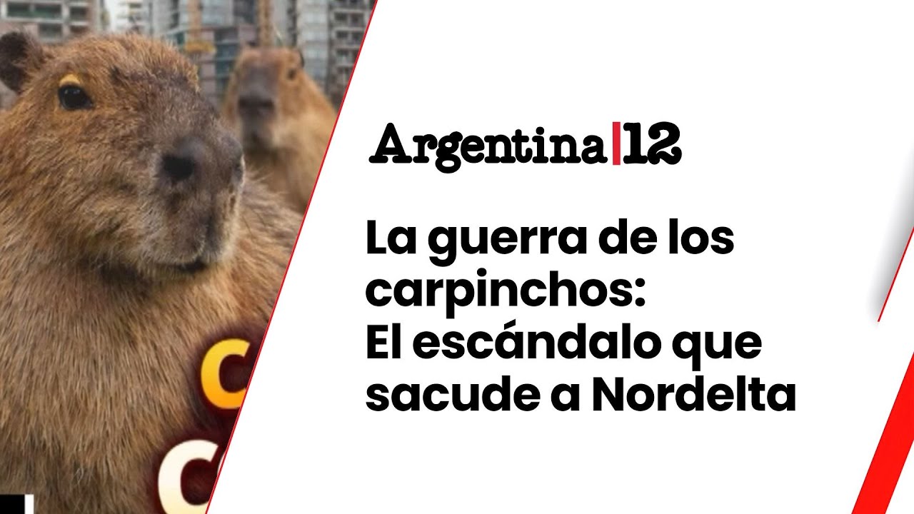 La guerra de los carpinchos: el escándalo que sacude a Nordelta