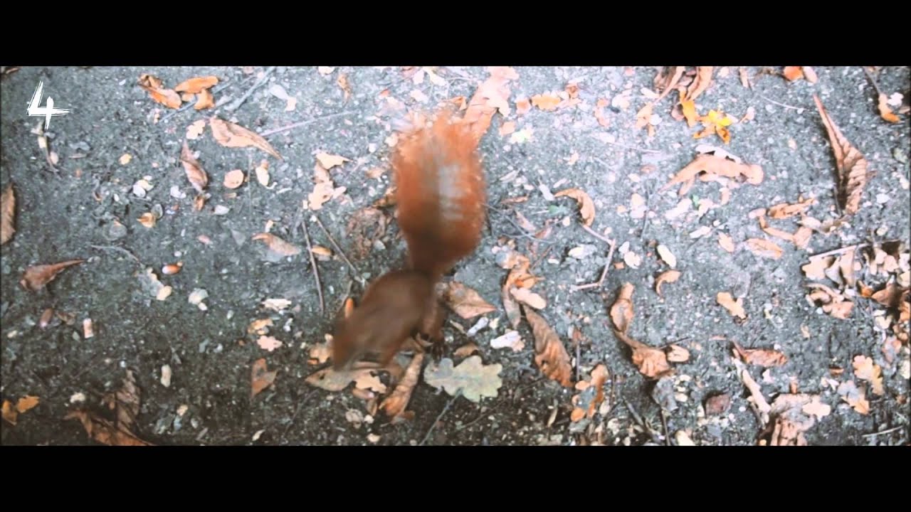 4EAR   ZATE    Mein Herz official Video