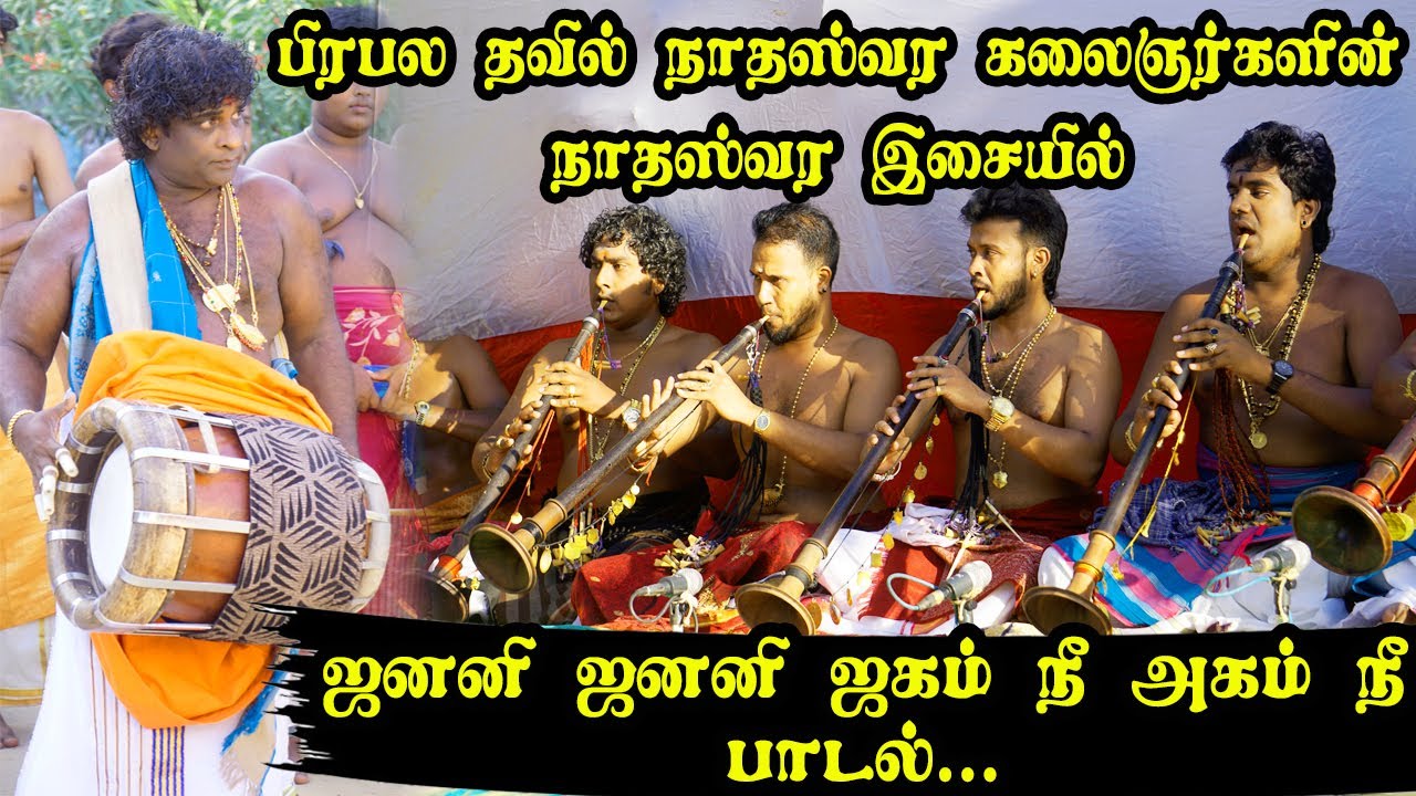 நாதஸ்வர கலைஞர்களின் இசையில் ஜனனி ஜனனி ஜகம் நீ அகம் நீ | Thavil | Nadhaswaram