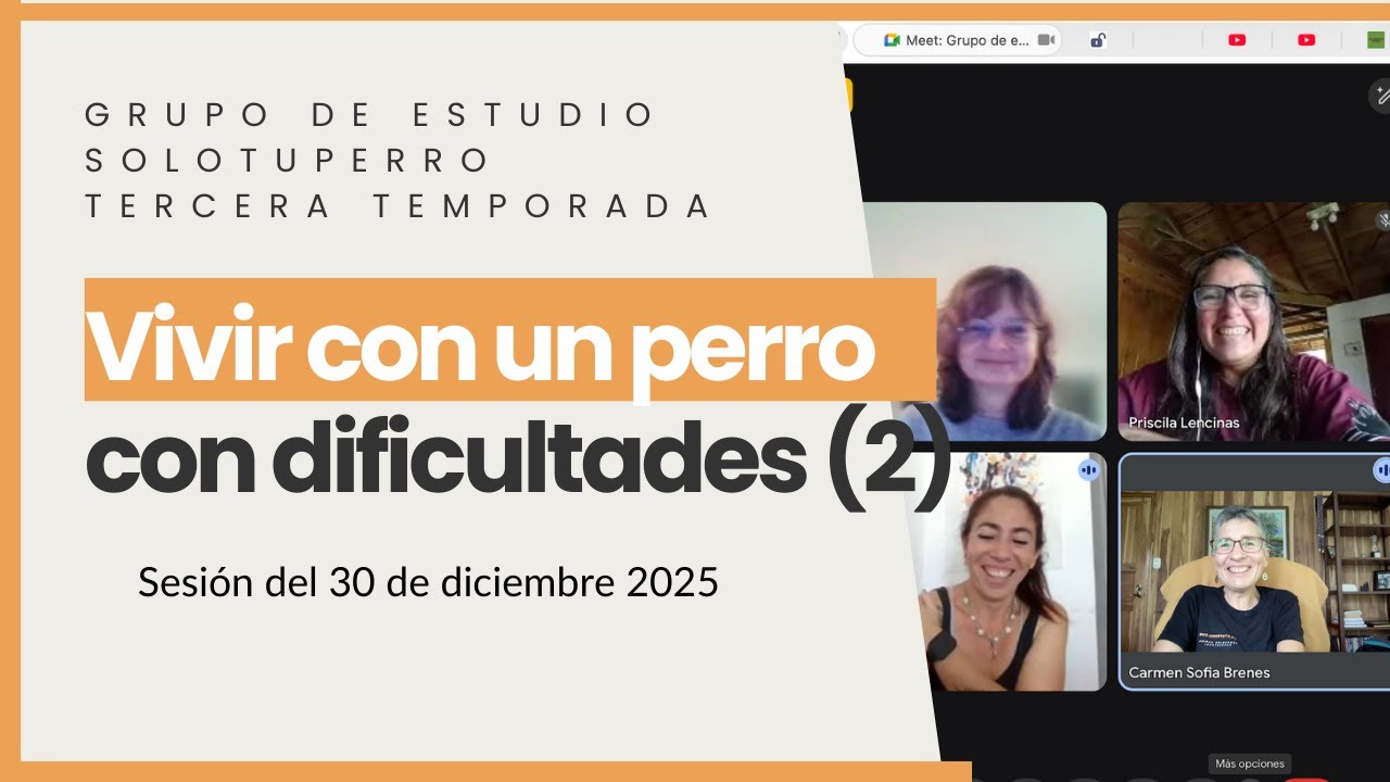 Convivir con perros con problemas de comportamiento es duro para las familias (2)