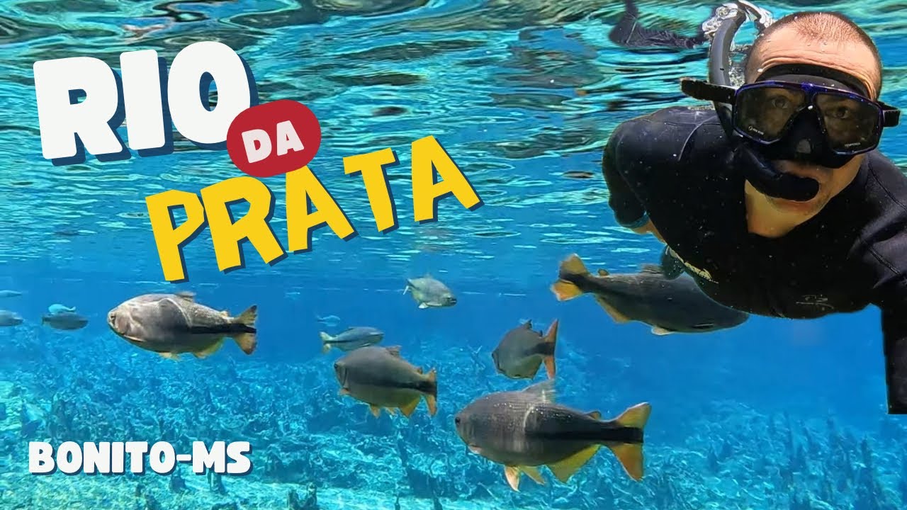 O MELHOR passeio de Bonito | Flutuação no Rio da Prata