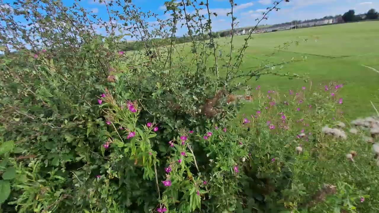 Beautiful countryside Rochdale,  Manchester.