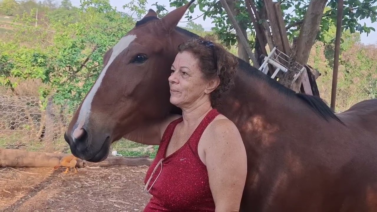 Fartura de galinha, nossa amiga Juju e santuário das garças#animais#animals #passeio #chácara# 