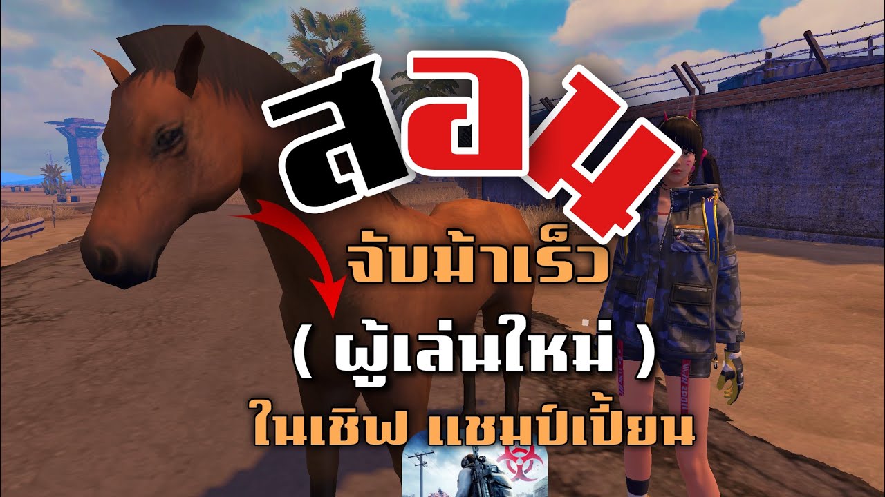 Last Island of Survival  สอนทำม้าเร็ว สำหรับผู้เล่นใหม่ที่ยังไม่รู้