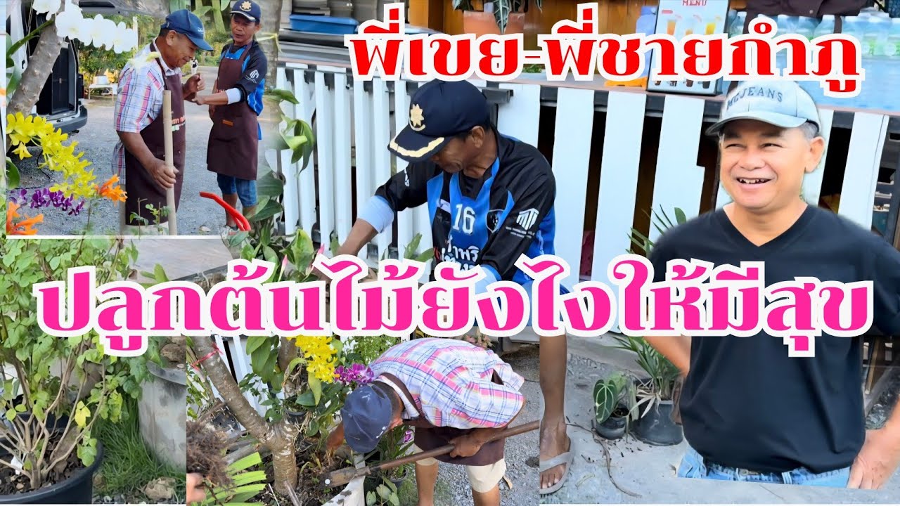 พี่เขยพี่ชายกำภู ปลูกต้นไม้ให้มีความสุข #บ้านสวนกำภูEp1532