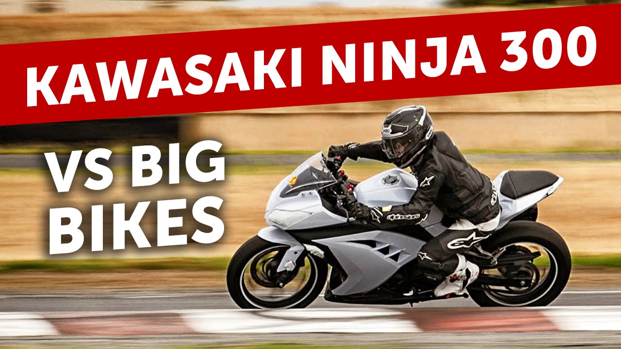 Ninja 300 playing at the track