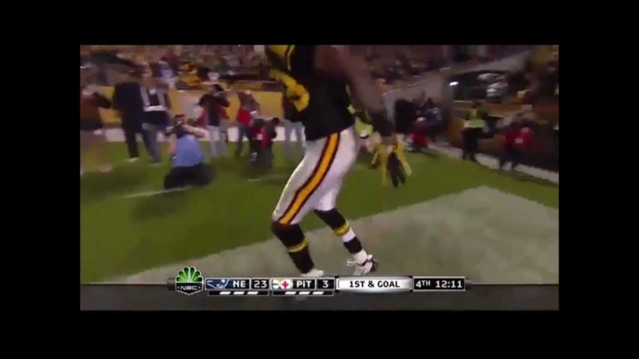 Steelers WR Tribute ( Young Money )