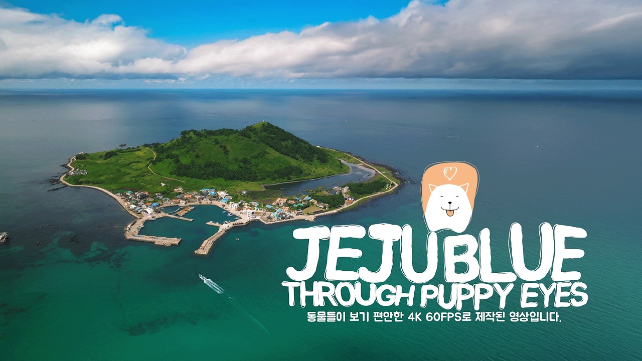 댕무비 | Jeju Blue Through Puppy Eyes | 강아지 힐링