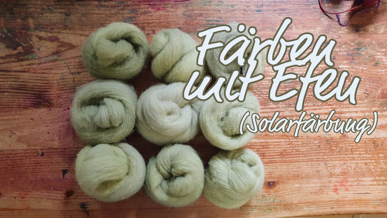 Wolle mit Efeu färben (Solarfärbung)
