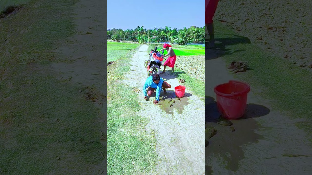 #viral #funny #video 