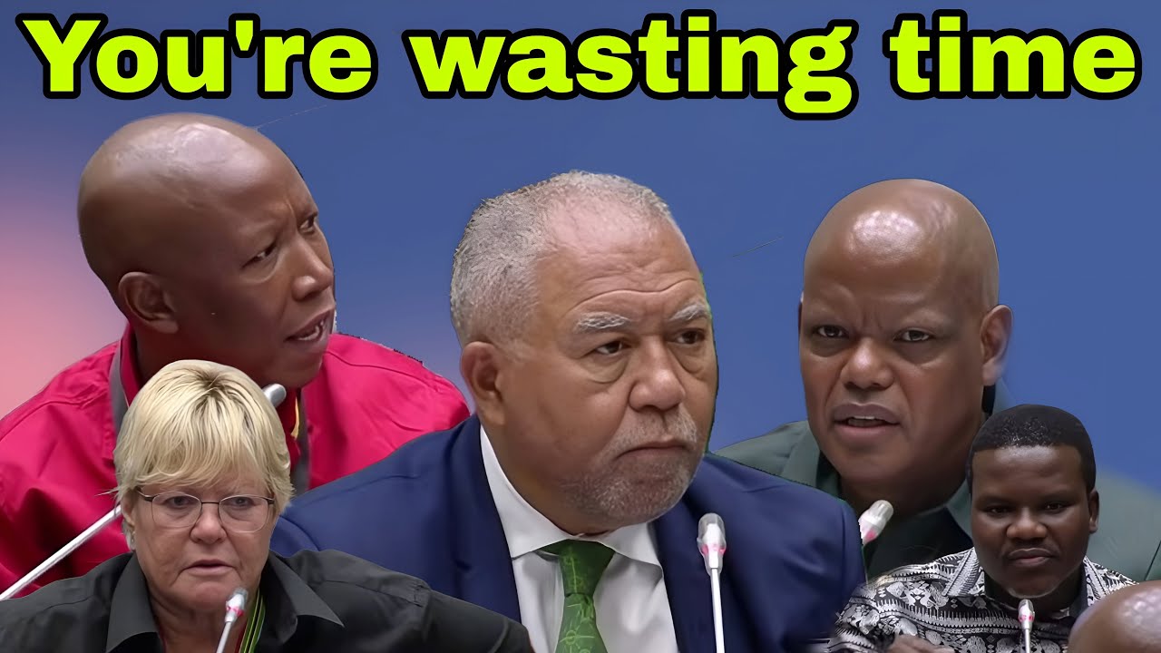 Julius Malema, Glynnis  Breytenbach & Ntuli slam Senior Counsel for wasting time.