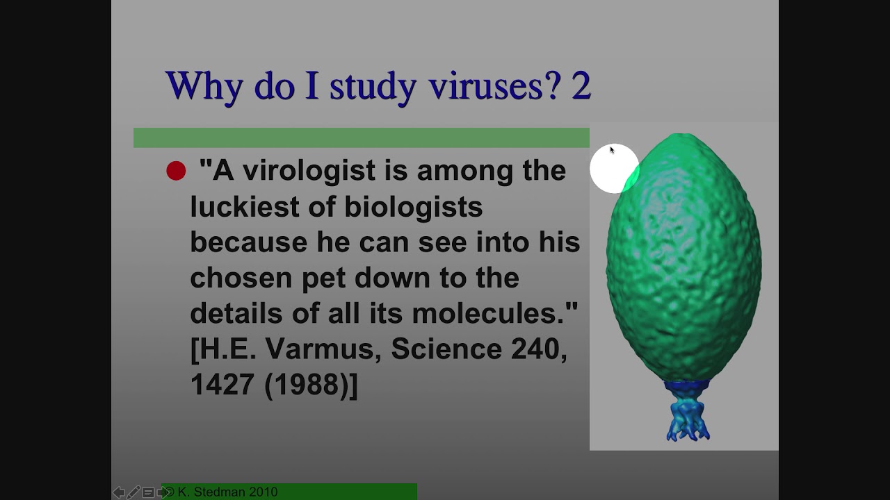 MicrobialEcology_S19_First45Min