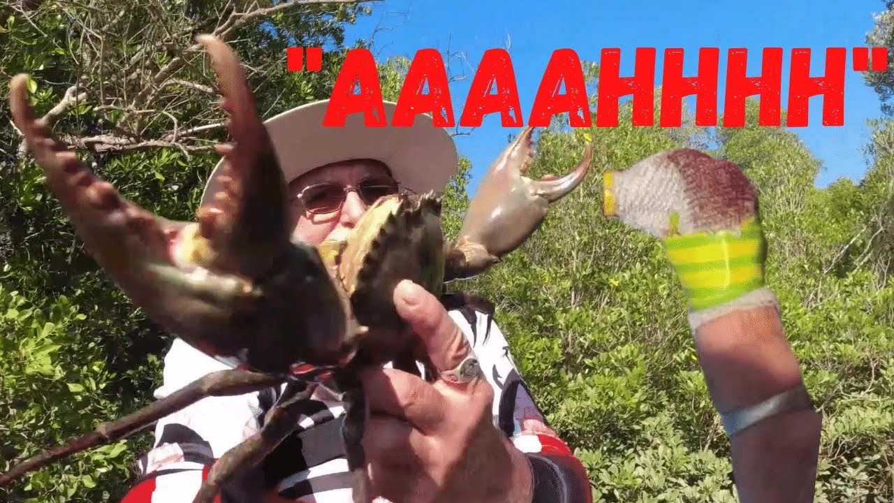 Darwin Mud Crab chomps finger Tip. Catch & Cook