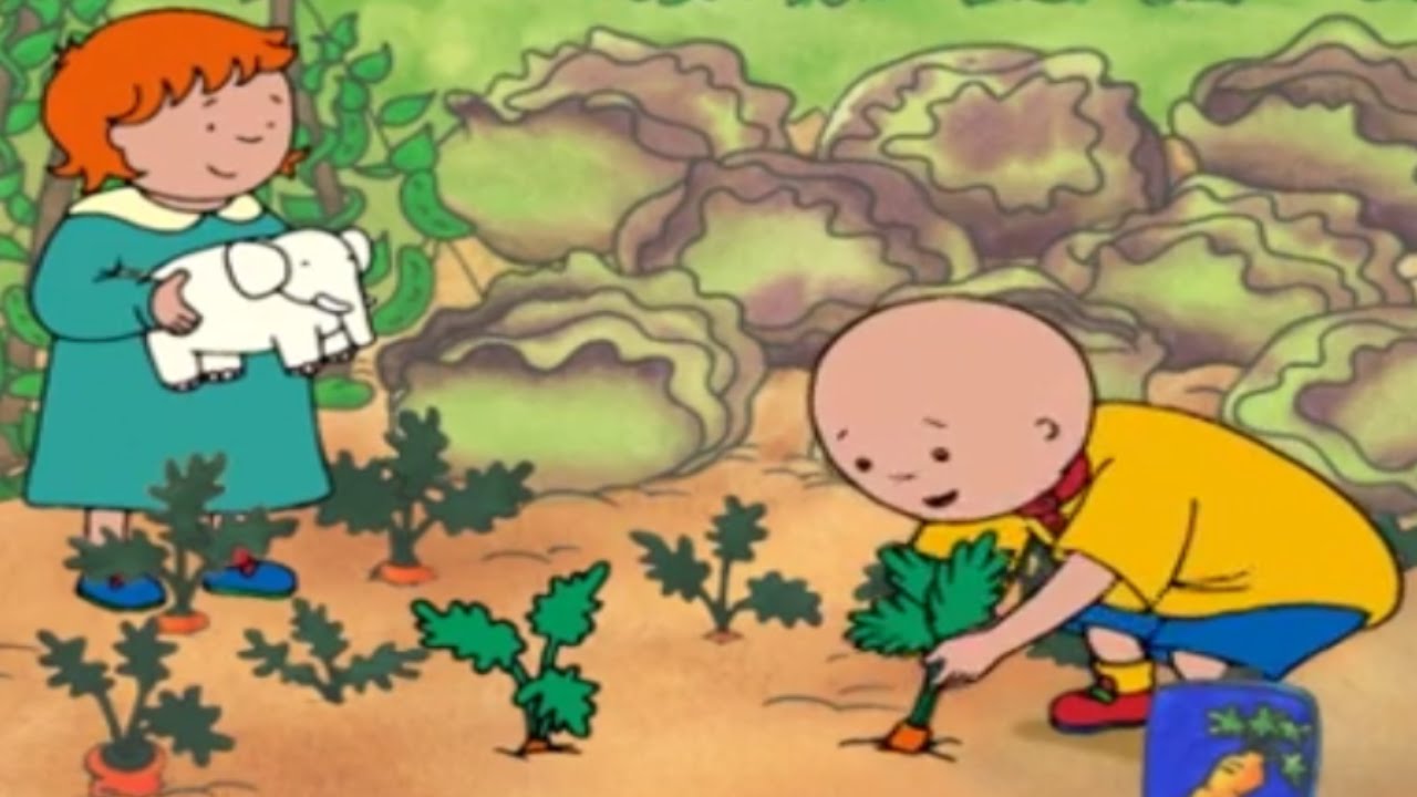 Caillou em Português | Infantis em Português | de desenho animado