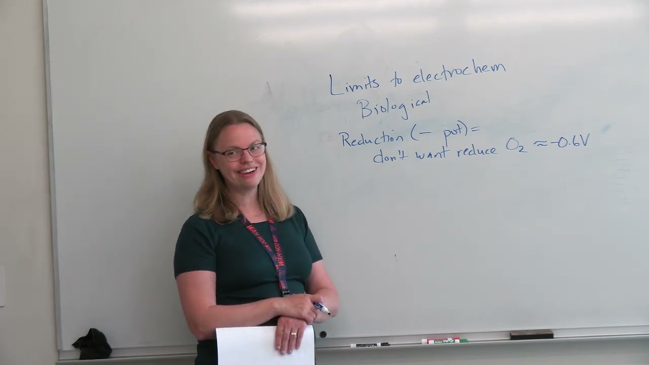 Echem bootcamp week1-1 Introduction