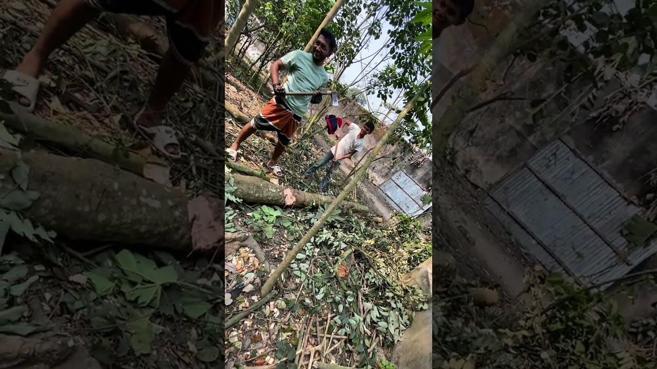 বিদেশ থেকে এসে কাজ নাই 