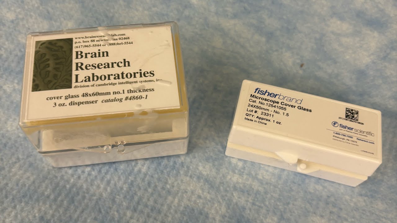 Coverslipping Histology Tissue Slides