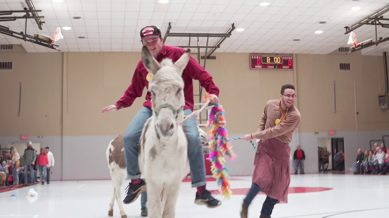 We Played DONKEY BASKETBALL!
