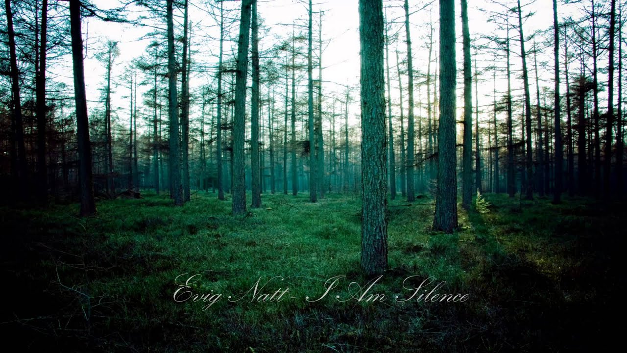 Evig Natt - I Am Silence