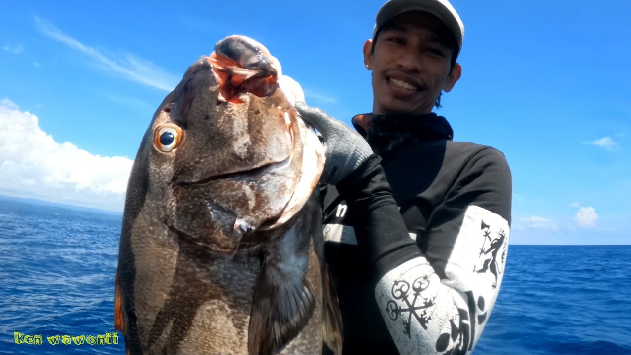 #Eps 14 Ikan Giant sweetlips Monster Yang Bersembunyi Di Balik Batu || Spearfishing Indonesia