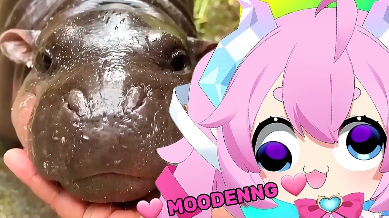 CHIBIDOKI LOVE MOODENNG 🩷