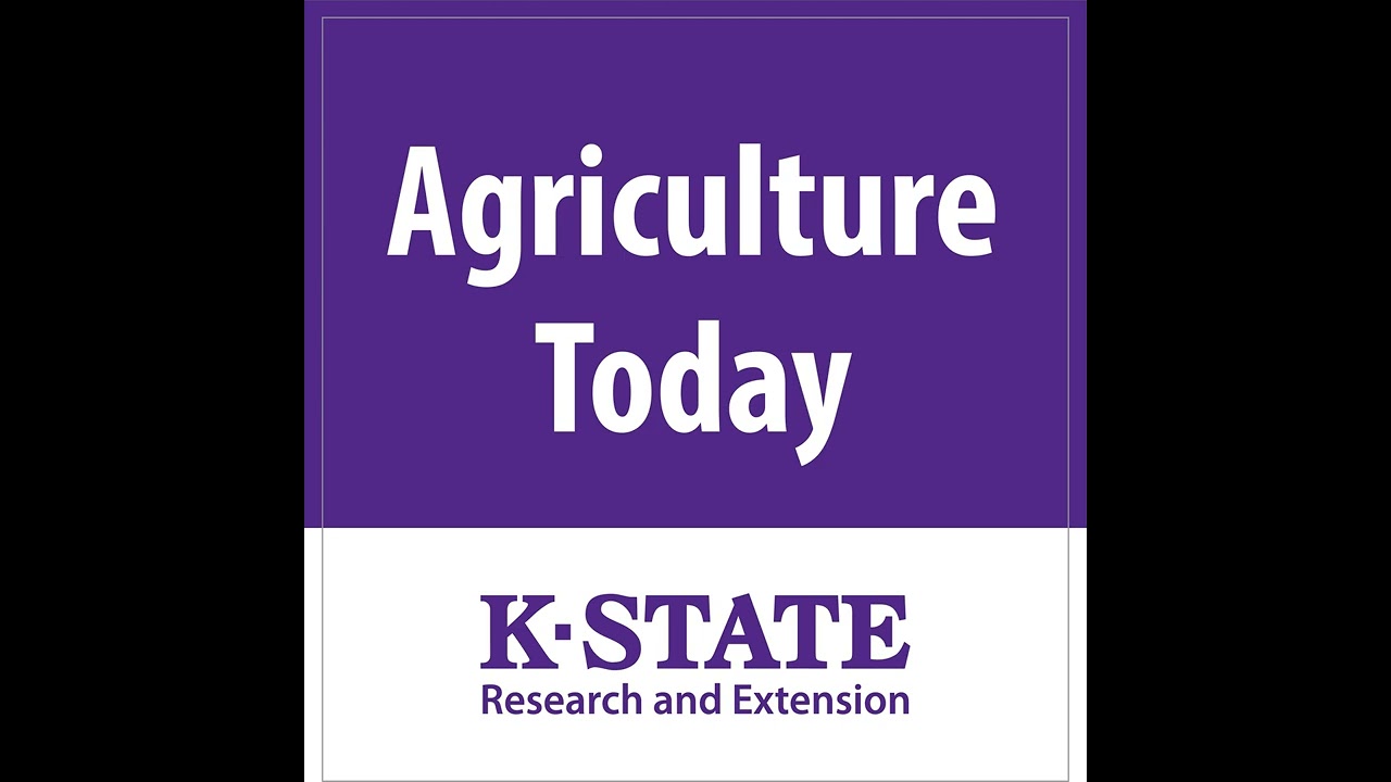 2103 - Grain Market Concerns from Producers...Replacement Female Decisions