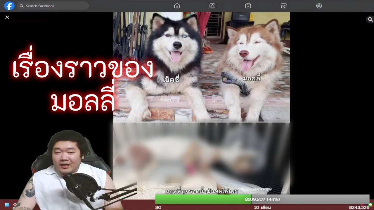 เรื่องราวของมอลลี่ (ไลฟ์ 769)