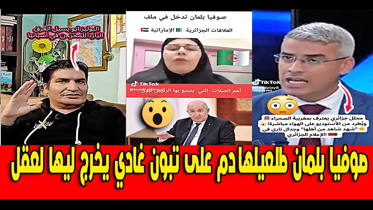 صوفيا بلمان طلعيلها دم و معصبة على تبون غادي يخرج ليها لعقل شوفو أش درات