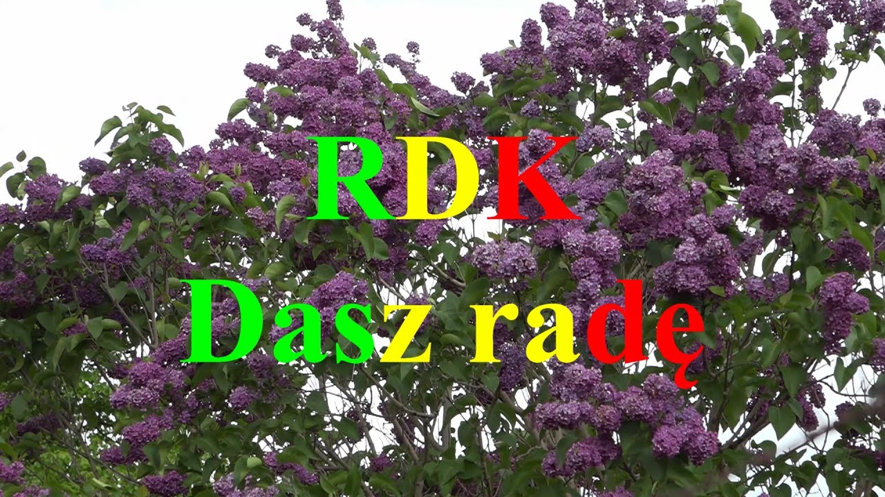 RDK - Dasz radę (HD)