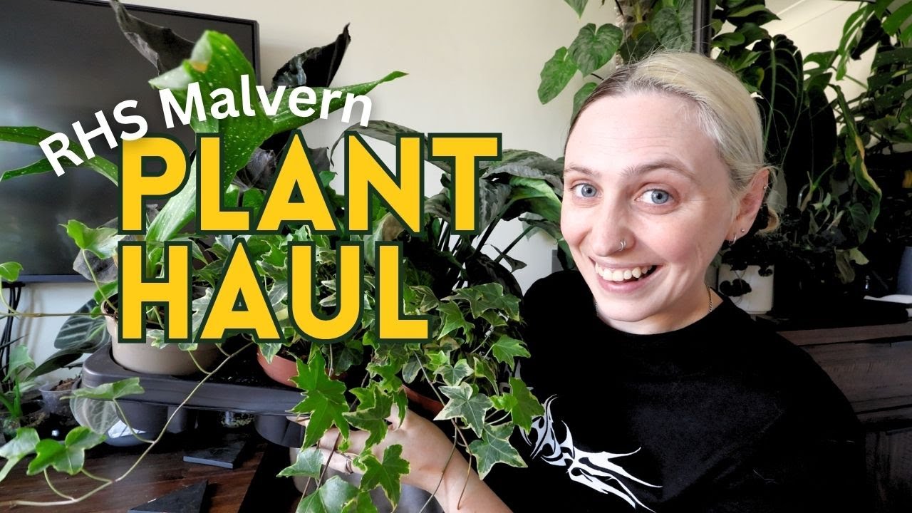 Huge Plant Haul from RHS Malvern Spring Festival 🌿🌸
