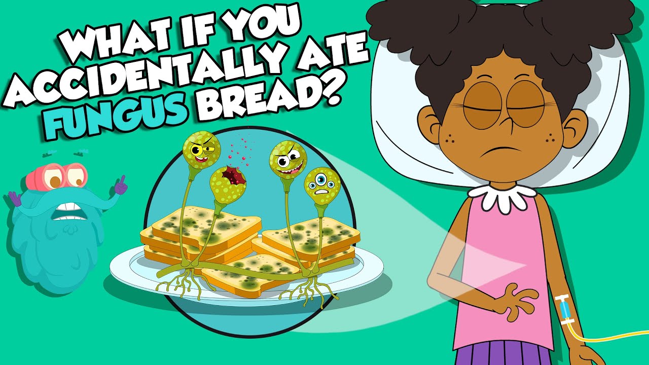 What If You Ate Moldy Bread By ACCIDENT? | Types Of Fungi | The Dr Binocs Show | Peekaboo Kidz
